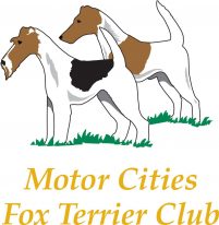 Motor Cities Fox Terrier Club